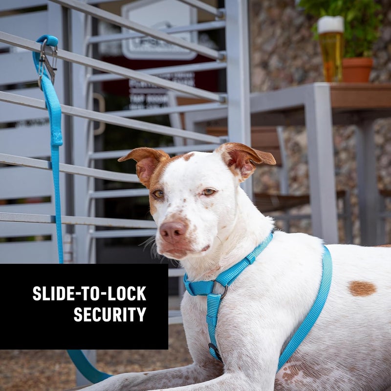 NiteIze SlideLock Pet S-Biner - Stainless Steel Dual Carabiner for Securing Pets & Clipping Leashes - Lightweight Carabiner for Easily Attaching - S-Biner with Slide-to-Lock Feature - 3 Pack - Image 3